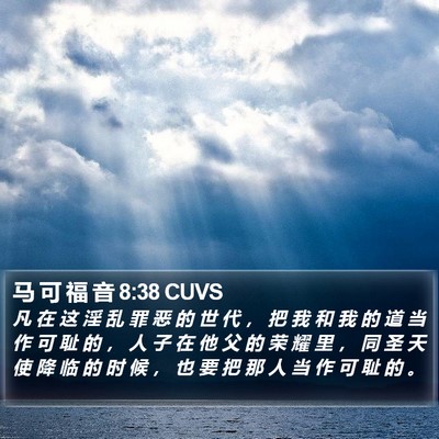 马 可 福 音 8:38 CUVS Bible Verse Image