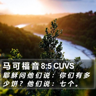马 可 福 音 8:5 CUVS Bible Verse Image