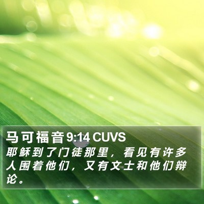 马 可 福 音 9:14 CUVS Bible Verse Image