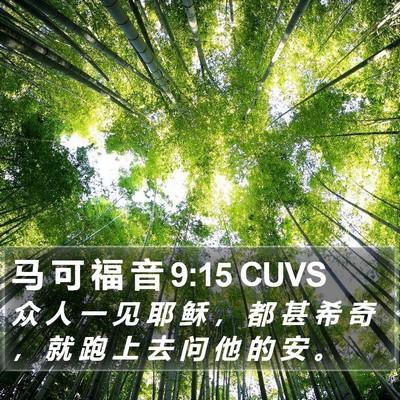 马 可 福 音 9:15 CUVS Bible Verse Image