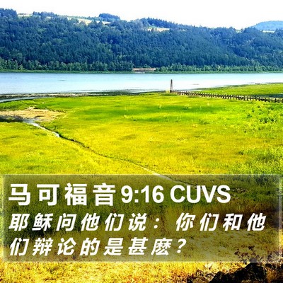 马 可 福 音 9:16 CUVS Bible Verse Image