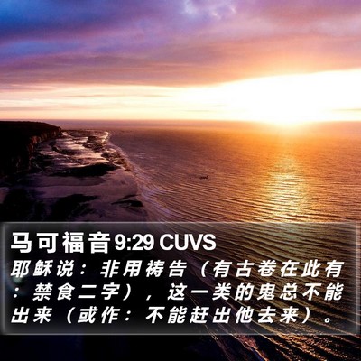 马 可 福 音 9:29 CUVS Bible Verse Image