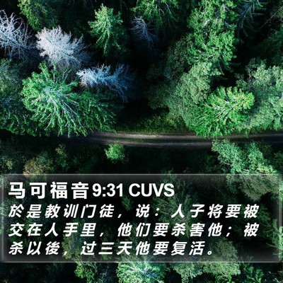 马 可 福 音 9:31 CUVS Bible Verse Image