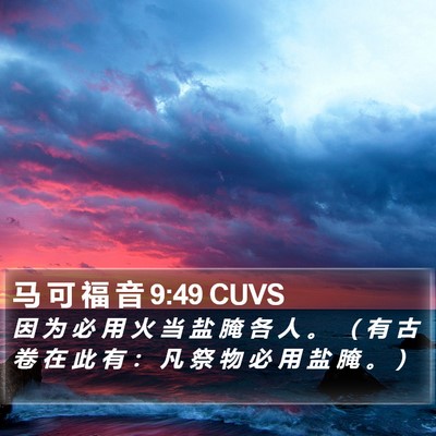 马 可 福 音 9:49 CUVS Bible Verse Image