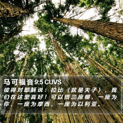 马 可 福 音 9:5 CUVS Bible Verse Image