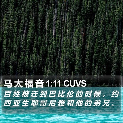 马 太 福 音 1:11 CUVS Bible Verse Image