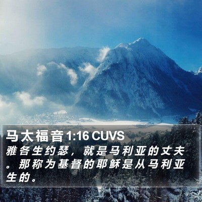 马 太 福 音 1:16 CUVS Bible Verse Image
