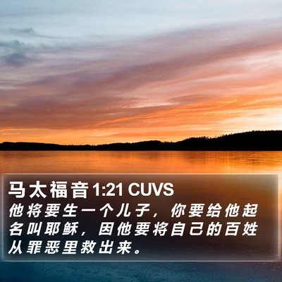 马 太 福 音 1:21 CUVS Bible Verse Image