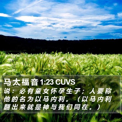 马 太 福 音 1:23 CUVS Bible Verse Image