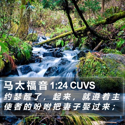 马 太 福 音 1:24 CUVS Bible Verse Image