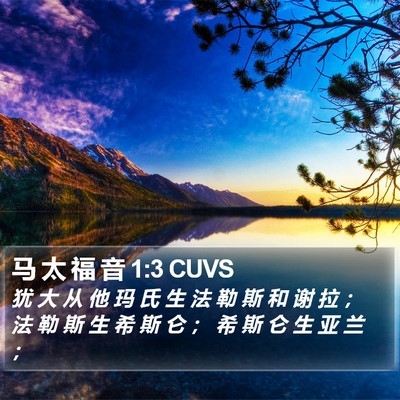 马 太 福 音 1:3 CUVS Bible Verse Image