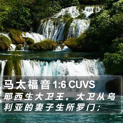 马 太 福 音 1:6 CUVS Bible Verse Image