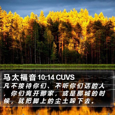 马 太 福 音 10:14 CUVS Bible Verse Image