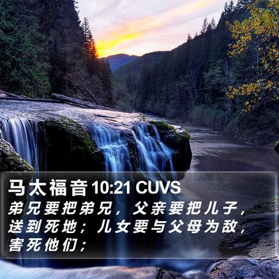 马 太 福 音 10:21 CUVS Bible Verse Image