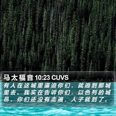 马 太 福 音 10:23 CUVS Bible Verse Image