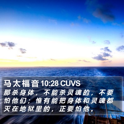 马 太 福 音 10:28 CUVS Bible Verse Image