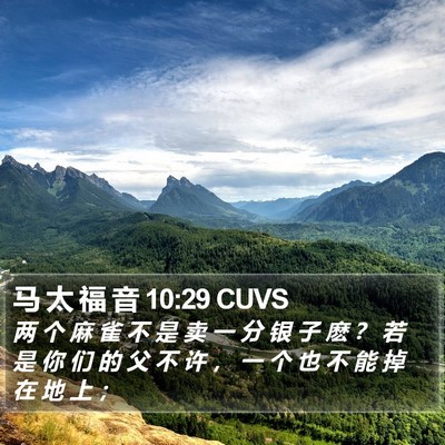 马 太 福 音 10:29 CUVS Bible Verse Image