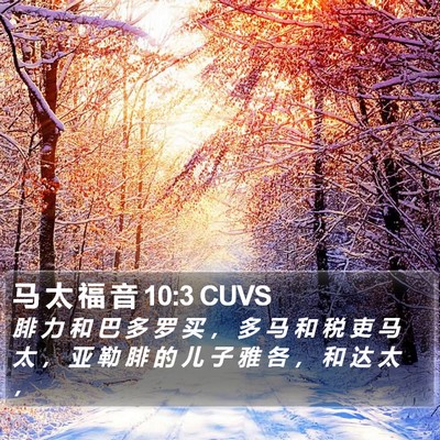 马 太 福 音 10:3 CUVS Bible Verse Image
