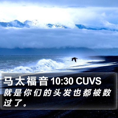 马 太 福 音 10:30 CUVS Bible Verse Image