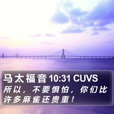 马 太 福 音 10:31 CUVS Bible Verse Image