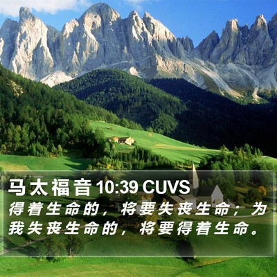 马 太 福 音 10:39 CUVS Bible Verse Image