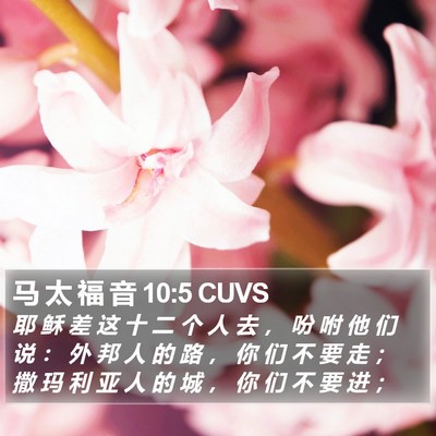 马 太 福 音 10:5 CUVS Bible Verse Image