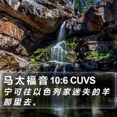 马 太 福 音 10:6 CUVS Bible Verse Image
