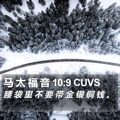 马 太 福 音 10:9 CUVS Bible Verse Image