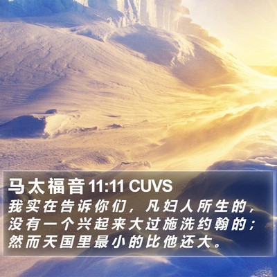马 太 福 音 11:11 CUVS Bible Verse Image