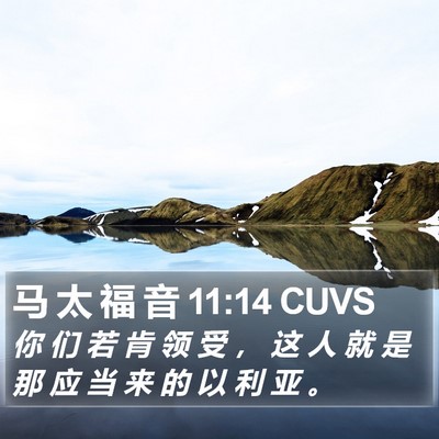 马 太 福 音 11:14 CUVS Bible Verse Image