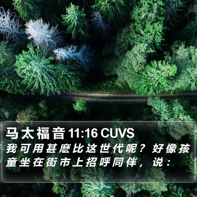 马 太 福 音 11:16 CUVS Bible Verse Image