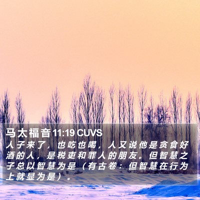 马 太 福 音 11:19 CUVS Bible Verse Image