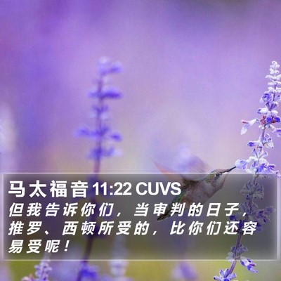 马 太 福 音 11:22 CUVS Bible Verse Image