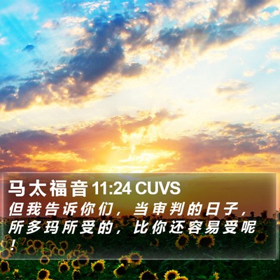 马 太 福 音 11:24 CUVS Bible Verse Image