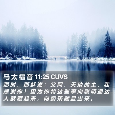 马 太 福 音 11:25 CUVS Bible Verse Image