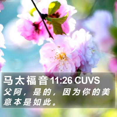 马 太 福 音 11:26 CUVS Bible Verse Image