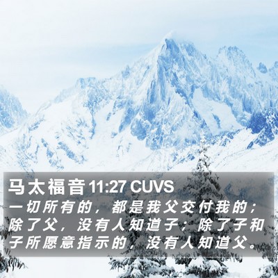 马 太 福 音 11:27 CUVS Bible Verse Image