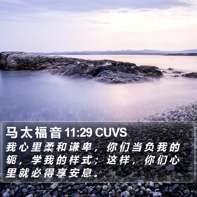 马 太 福 音 11:29 CUVS Bible Verse Image