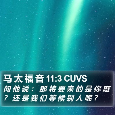 马 太 福 音 11:3 CUVS Bible Verse Image