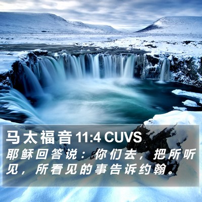 马 太 福 音 11:4 CUVS Bible Verse Image