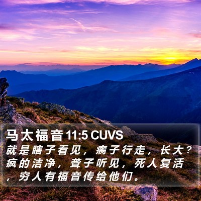 马 太 福 音 11:5 CUVS Bible Verse Image