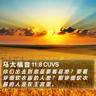 马 太 福 音 11:8 CUVS Bible Verse Image