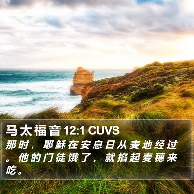 马 太 福 音 12:1 CUVS Bible Verse Image