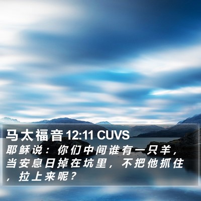马 太 福 音 12:11 CUVS Bible Verse Image