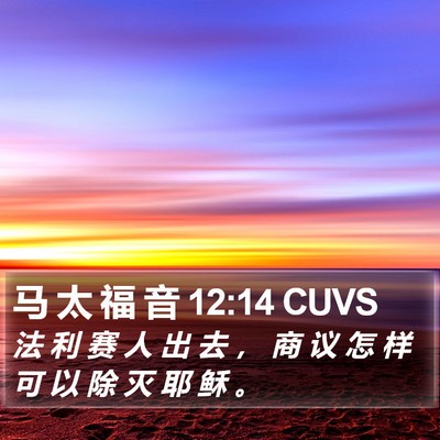 马 太 福 音 12:14 CUVS Bible Verse Image