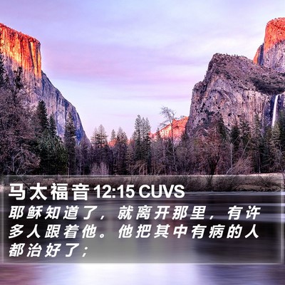 马 太 福 音 12:15 CUVS Bible Verse Image