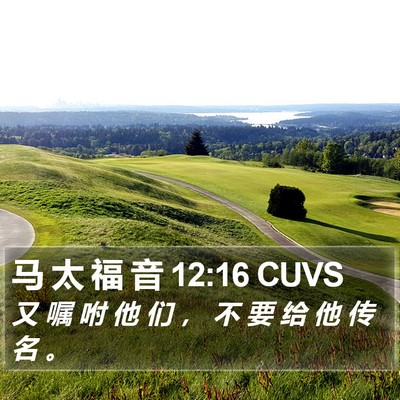 马 太 福 音 12:16 CUVS Bible Verse Image