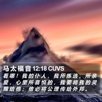 马 太 福 音 12:18 CUVS Bible Verse Image