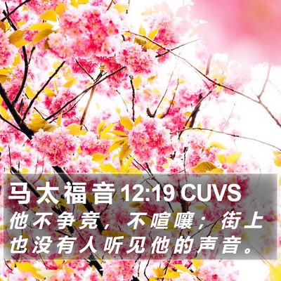 马 太 福 音 12:19 CUVS Bible Verse Image