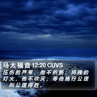 马 太 福 音 12:20 CUVS Bible Verse Image